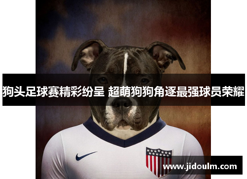 狗头足球赛精彩纷呈 超萌狗狗角逐最强球员荣耀